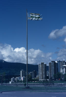 Centennial flag at Vanier Park