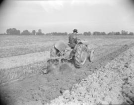 [Man seated on a tractor ploughing a field]