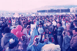 Crowd on beach at Polar Bear Swim