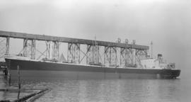 S.S. Andros Star [at United Grain Growers' dock]