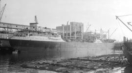 M.S. London Splendour [at dock, alongside a log boom]