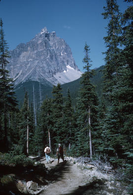 On trail - Old Horn [Oldhorn] Mt