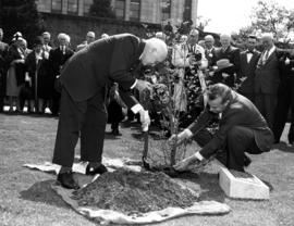 Honourable H.H. Stevens and Mr. William Livingston planting the anniversary dogwood