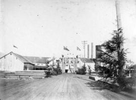 [Arch at Hastings Sawmill]