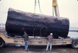 Logs for Lumberman's Arch - 2 [2 of 18]