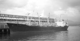M.S. Tenko Maru [at dock]