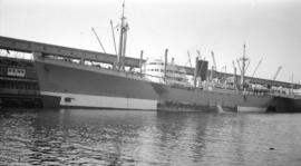 M.S. Japara [at dock]