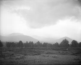 Open landscape with trees and mountains in the background