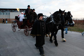 Day 52 Horse drawn carriage with Torchbearer 160 Sean Littler passes through Niagara-on-the-Lake,...