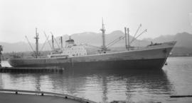 M.S. Argo Ellas [at dock]