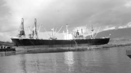 M.S. Myoko Maru [at dock]