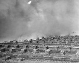 [Smoke billows over stacks of peat during fire on Lulu Island]