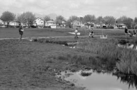 North-west end of Trout Lake