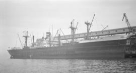 S.S. Arnedyk [at dock]