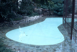 Landscape - detail : pool
