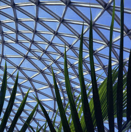 MacMillan Bloedel Conservatory