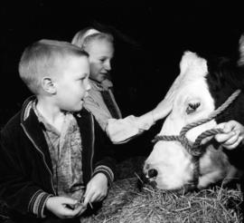 Children with cattle