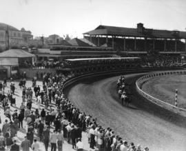 [Job no. 179] : photograph of grandstand, Landsdowne Park, Lulu Island, Richmond B.C.]