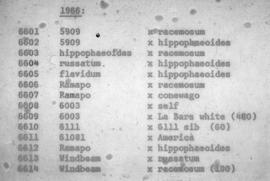 Rhodo[dendron] Breeding Records (1966)