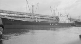 M.S. Asahigawa Maru