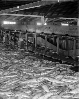 Cannery Fish House