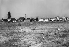 Site of the Centre - Spring 1949, looking north