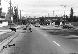 41st Avenue and Wales [Street] looking east