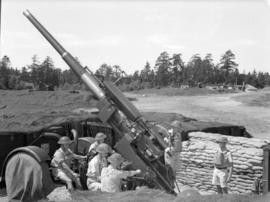 Army training - big guns