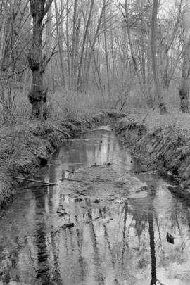 Musqueam Creek, near south end of Crown St.