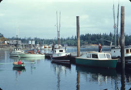 Marina at Stanley Park with boy rowing boat and woman on dock