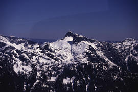 Alpine and Montane : coast mountains