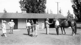 People examining horses at Minnekhada stables