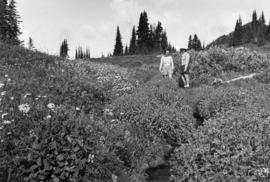 [View of two Natural History Society members standing in a meadow]