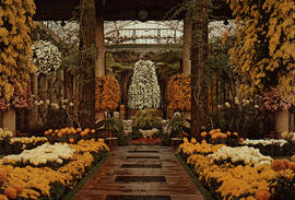Gardens - United States : Longwood Gardens main conservatory
