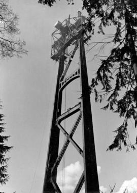 Only the top steel-work bwetween the two pillars remains to be finished.  Roadbed will be laid ov...