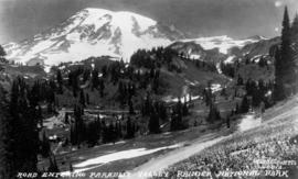 In Mount Rainier Park : The road entering Paradise Valley