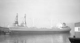 M.S. Jarita [at dock]