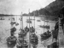 [Fishing fleet near] North Pacific Cannery