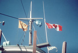 Flags aloft