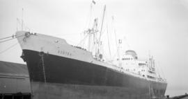 M.S. Azotea [at dock]