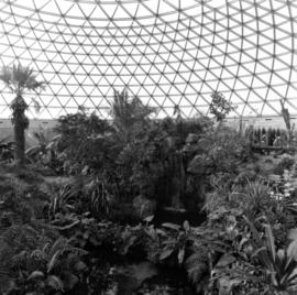 MacMillan Bloedel Conservatory