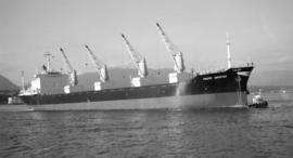 M.S. Pacific Importer