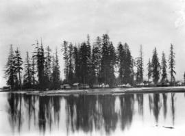 [View of the squatter's shacks on Deadmans Island]