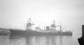 M.S. King Malcolm [at dock]