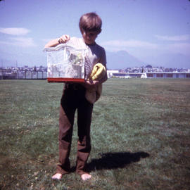 [Boy with bird in bird cage]