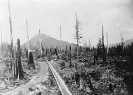 [Plank road and flume] between Sugdens and George Streets, Lynn Valley