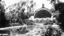 Balboa Park, San Diego : The pond and botanical gardens