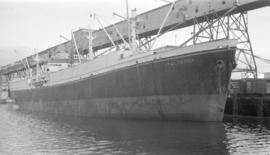 S.S. Italterra [at dock]