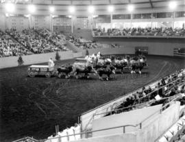 Pacific National Exhibition