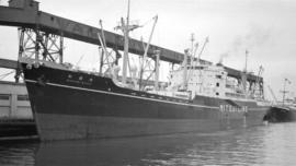 S.S. Shosei Maru [at dock]